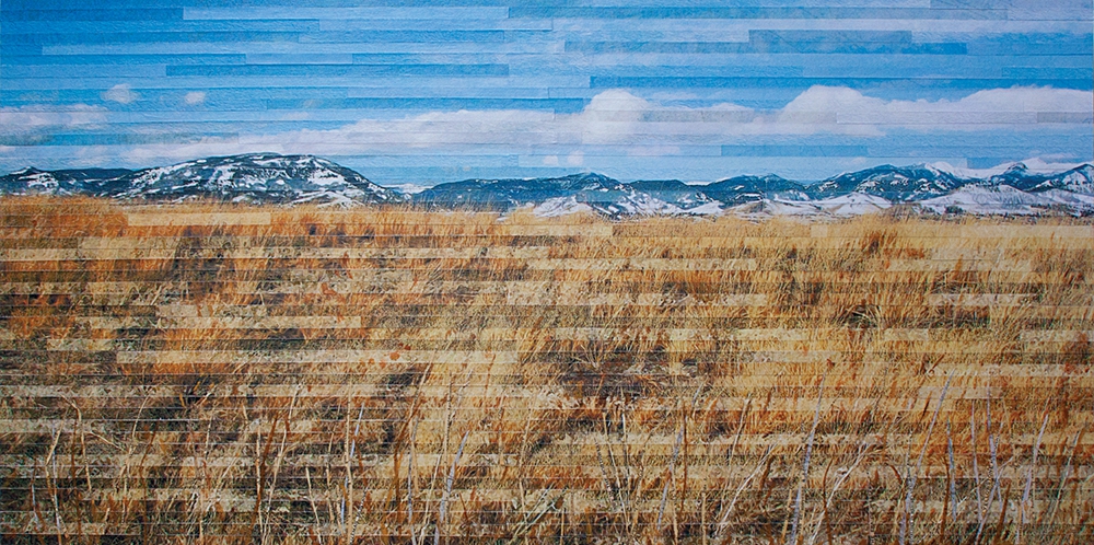 Grass Whispers by Lori Reed