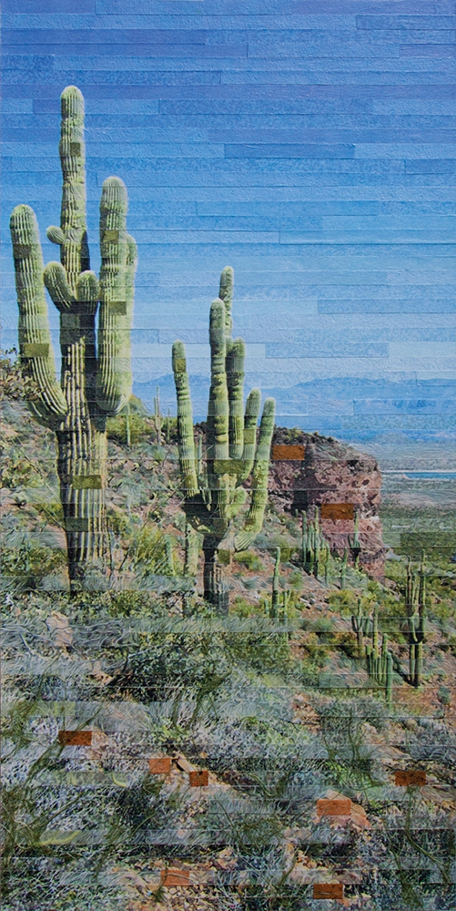 Desert Vista by Lori Reed