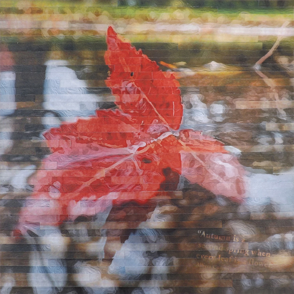 Autumn Reflections by Lori Reed