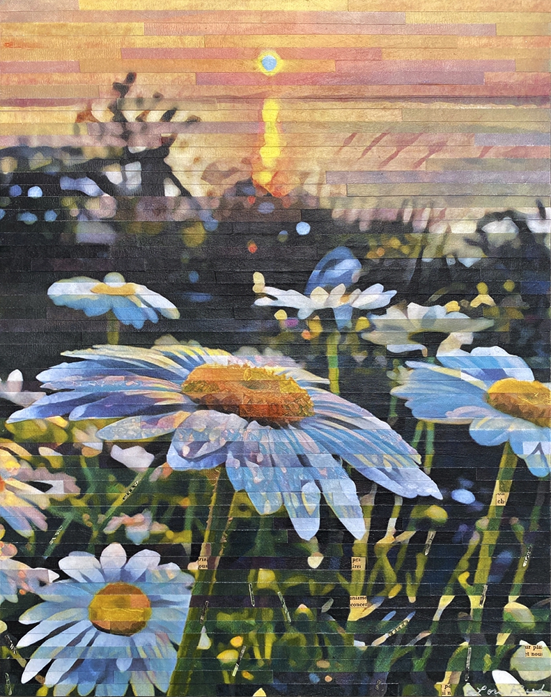 Daisy Days of Summer by Lori Reed