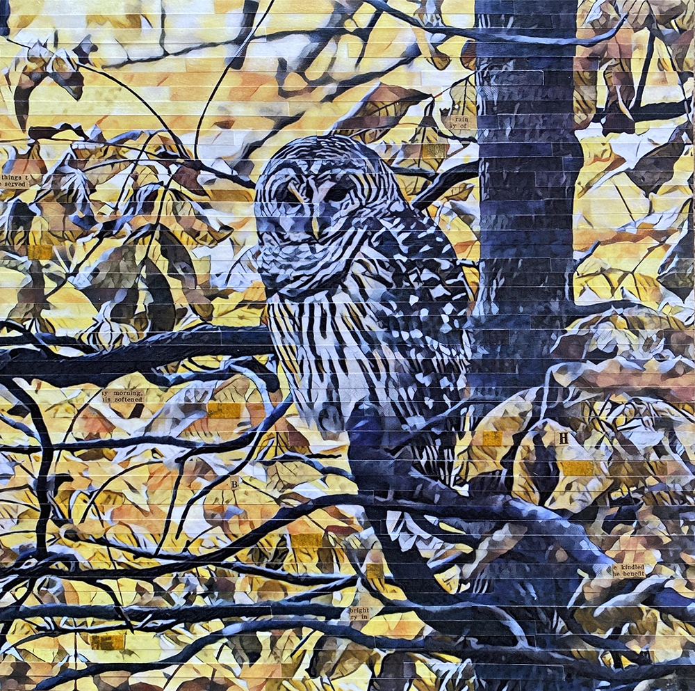 Morning Visitor by Lori Reed