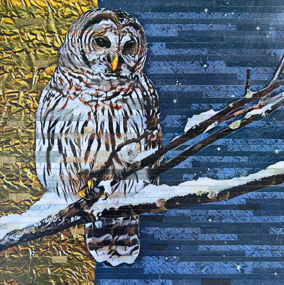 Night Watchman by Lori Reed