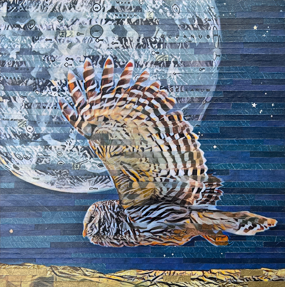 Click here to view Wildlife artwork by Lori Reed