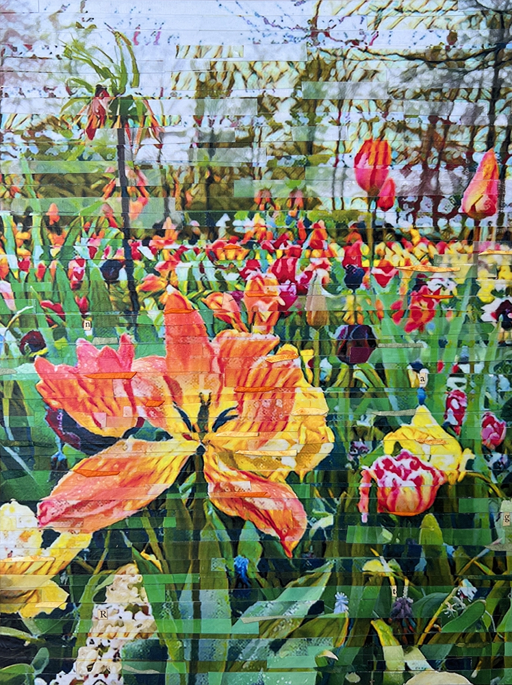 Eye Candy by Lori Reed