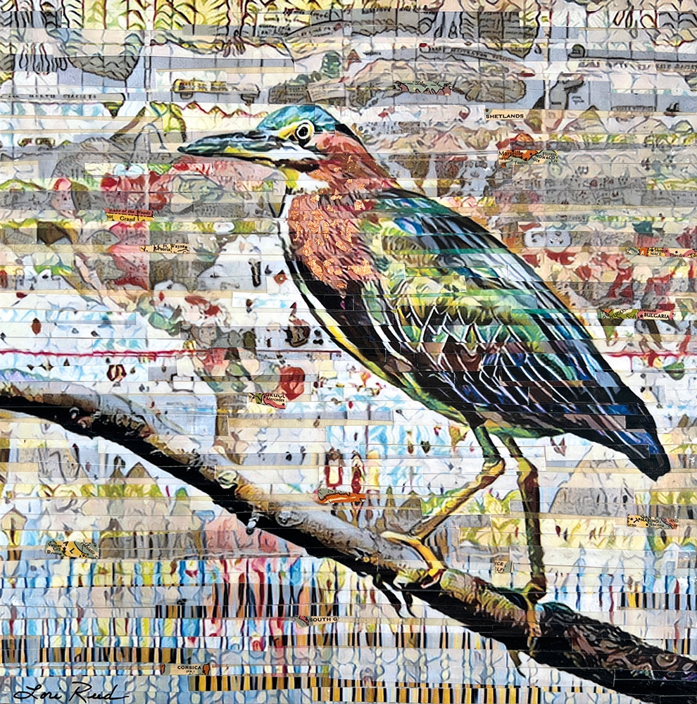 A Heron's Worldview by Lori Reed