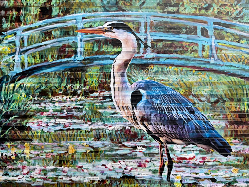 Searching for Words by Lori Reed