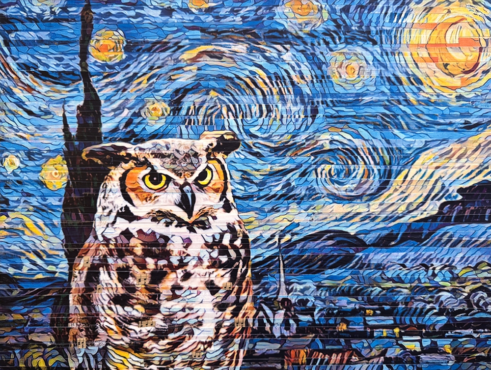 Star Gazer by Lori Reed